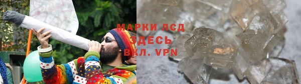 прущие грибы Горно-Алтайск