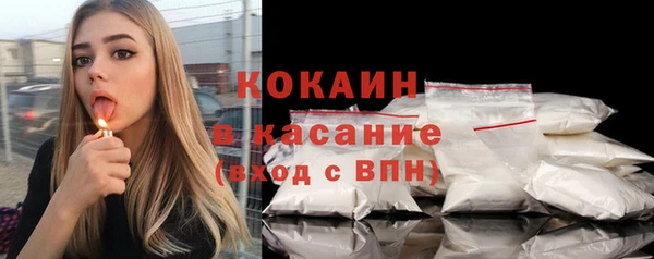 прущие грибы Горно-Алтайск