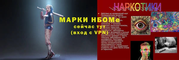 прущие грибы Горно-Алтайск