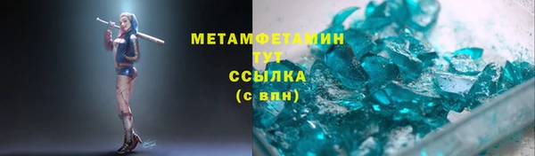 прущие грибы Горно-Алтайск