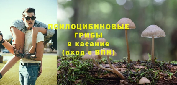 прущие грибы Горно-Алтайск