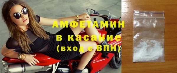 прущие грибы Горно-Алтайск