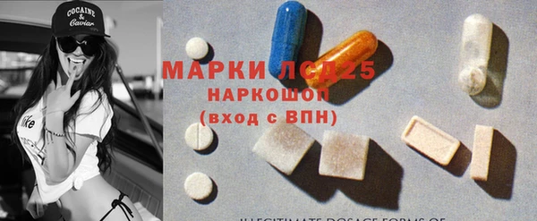 прущие грибы Горно-Алтайск