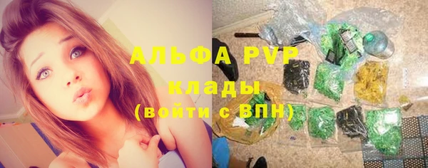 прущие грибы Горно-Алтайск