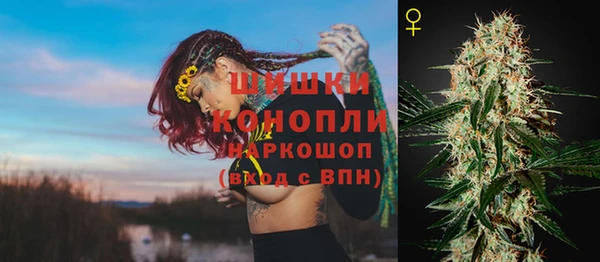 прущие грибы Горно-Алтайск